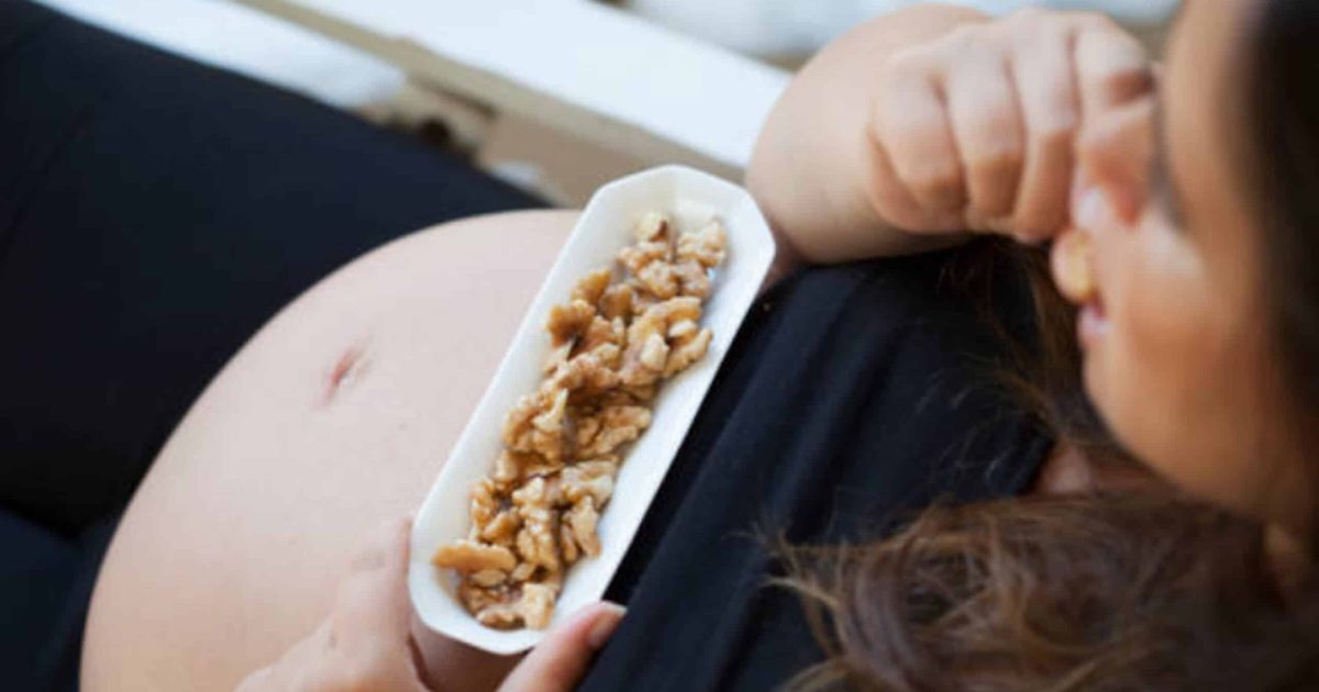 Benefits of Dry Fruits and Nuts during Pregnancy Inaaya Snack Smarter